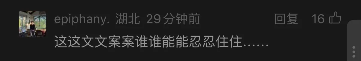 回复16口epiphany.湖北29分钟前这文案谁谁能忍住。