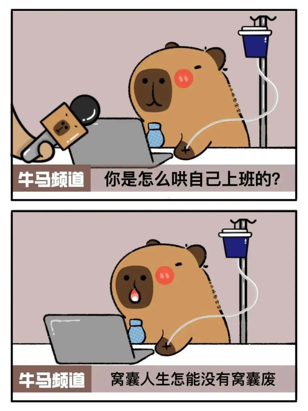 牛马频道你是怎么哄自己上班的？牛马频道窝囊人生怎能没有窝囊废