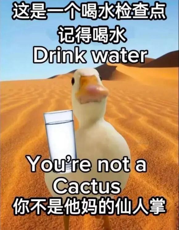 这是一个喝水检查点记得喝水DrinkwaterYoureno