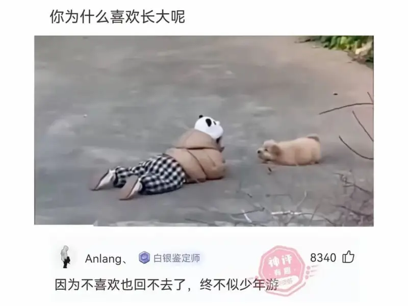 你为什么喜欢长大呢Anlang，白银鉴定师8340因为不喜欢