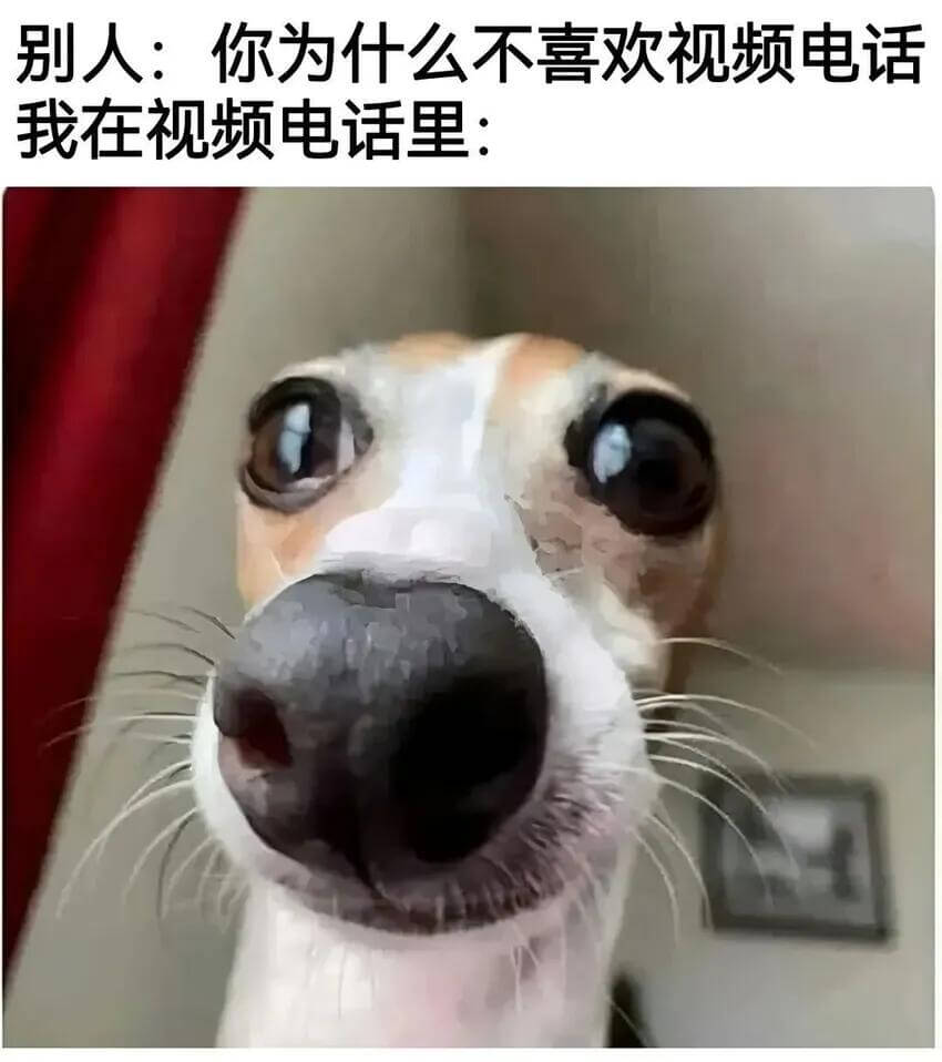 别人：你为什么不喜欢视频电话我在视频电话里：