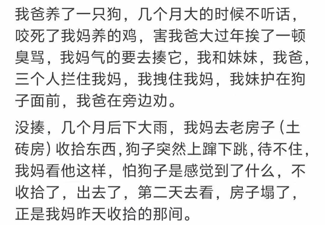 我爸养了一只狗,几个月大的时候不听话,咬死了我妈养的鸡,害得