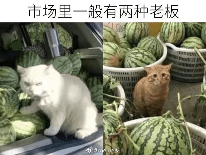 市场里一般有两种老板@meme图
