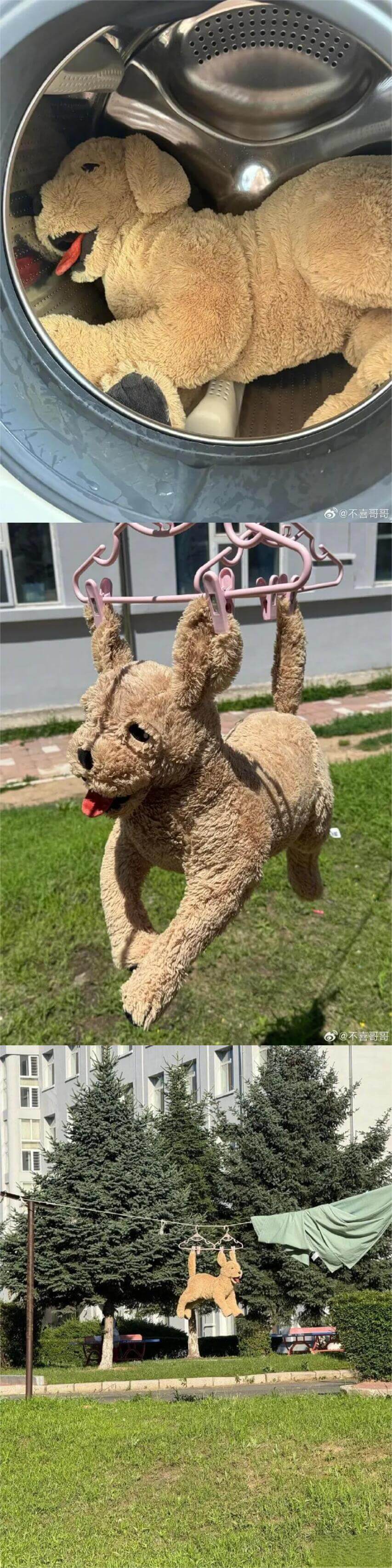 @不喜哥哥@不喜哥哥