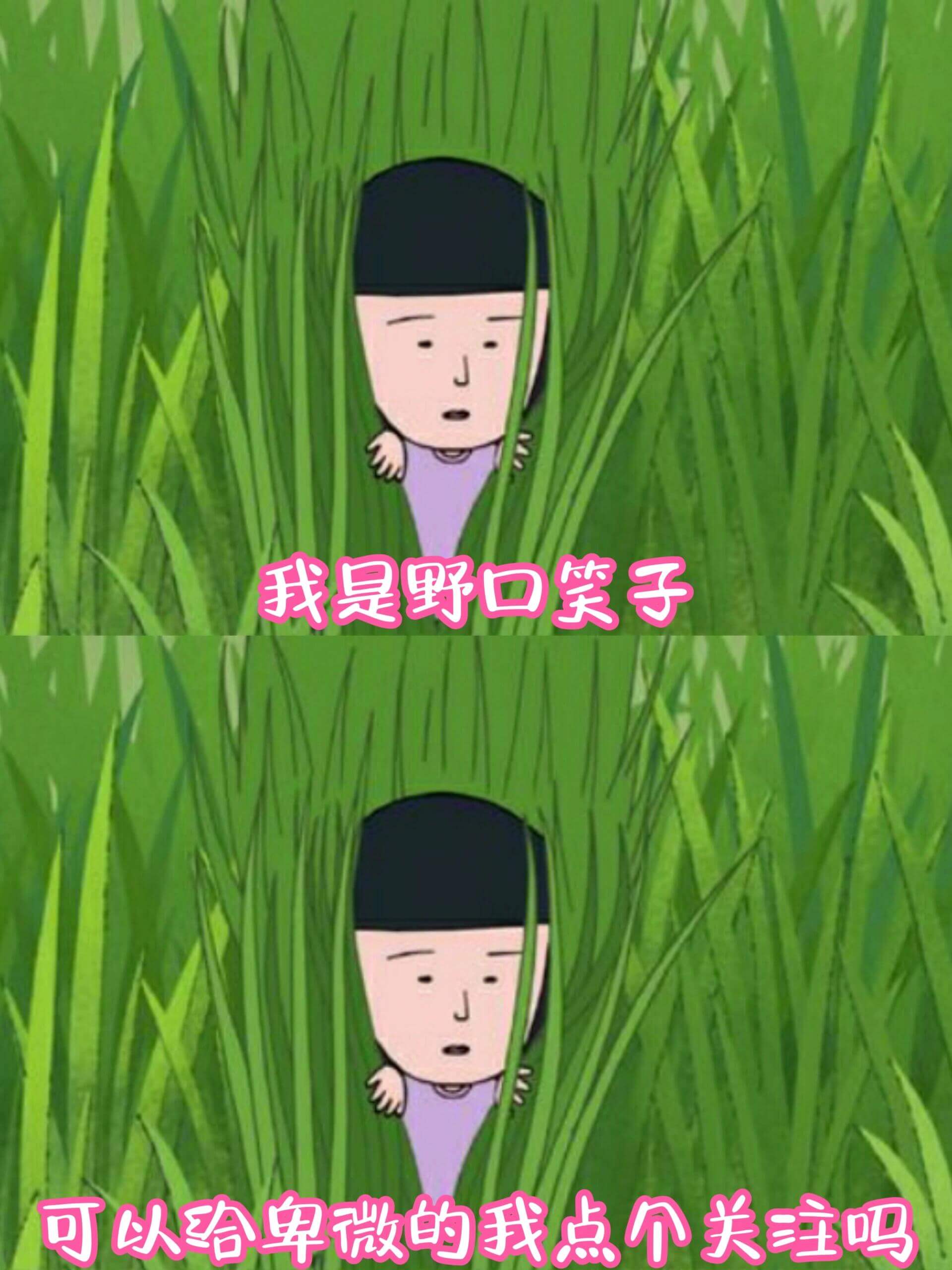 我是野口笑子，可以给卑微的我点个关注吗？