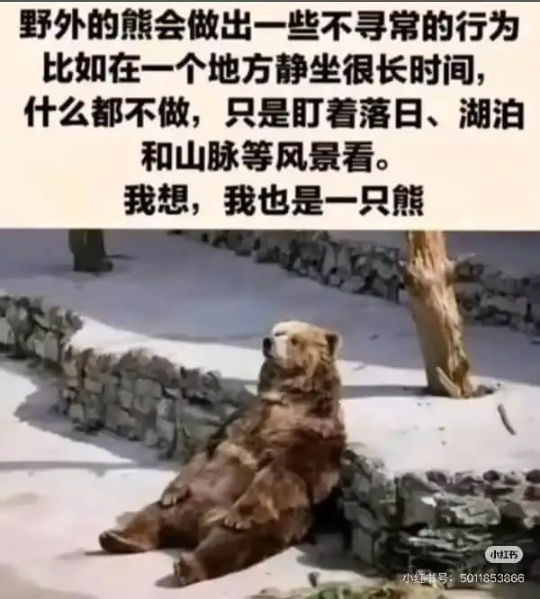 野外的熊会做出一些不寻常的行为比如在一个地方静坐很长时间什么