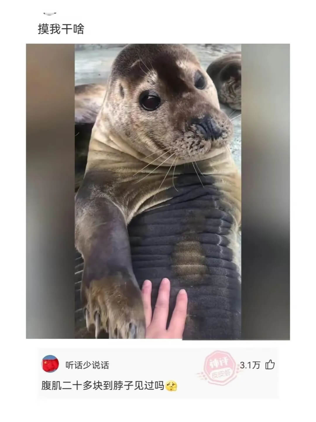 摸我干啥听话少说话腹肌二十多块到脖子见过吗3.1万