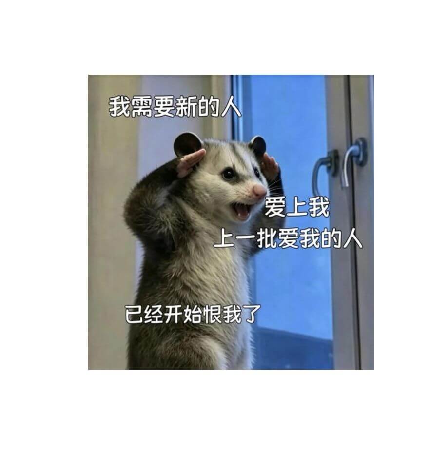 我需要新的人爱上我。上一批爱我的人已经开始恨我了。