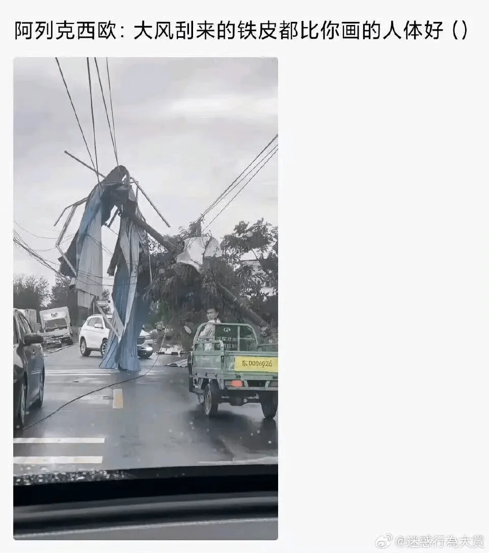 阿列克西欧:大风刮来的铁皮都比你画的人体好。东D006026