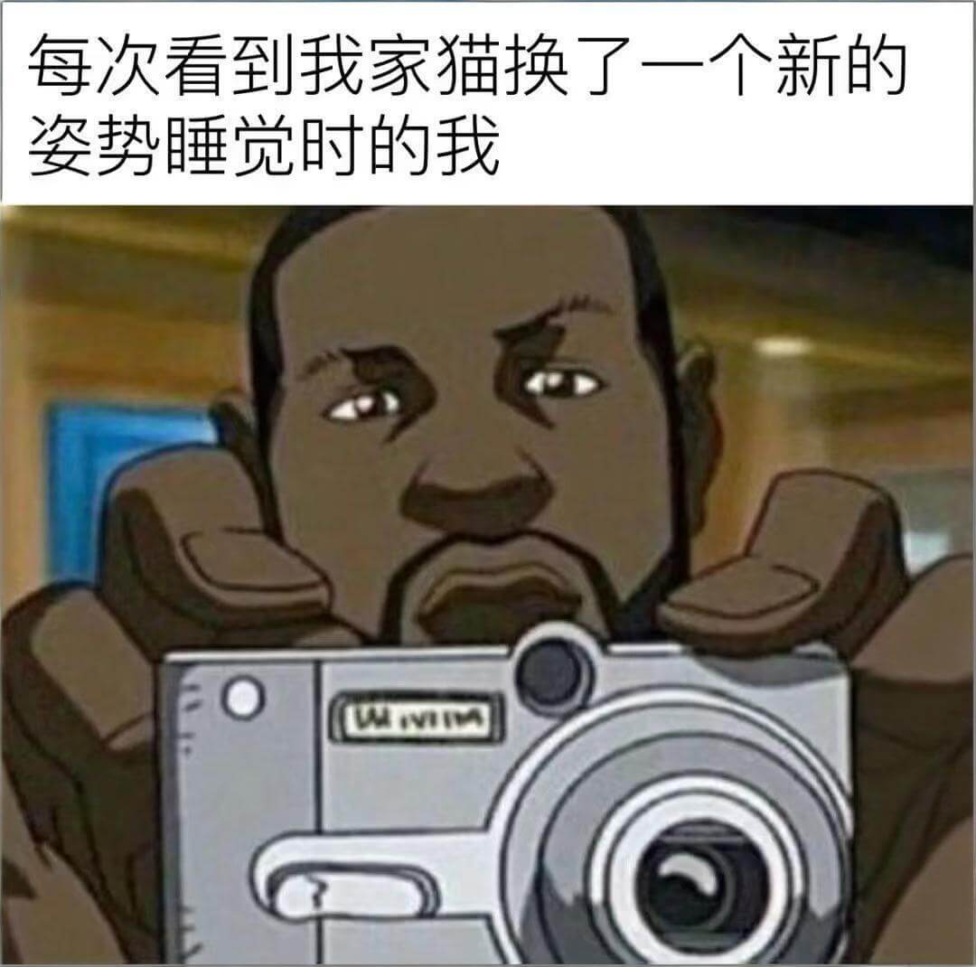 每次看到我家猫换了一个新的姿势睡觉时的我WM
