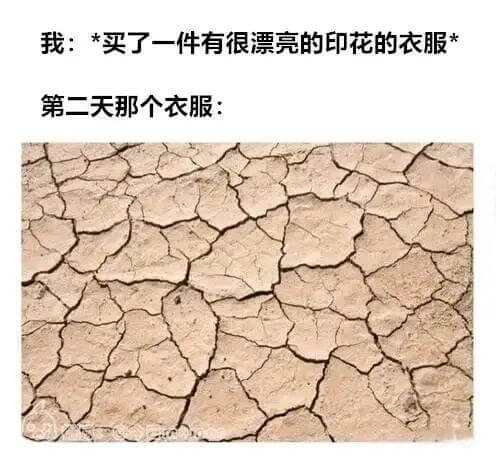 我：买了一件有很漂亮的印花的衣服。第二天，那个衣服：