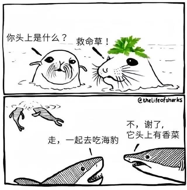 你头上是什么？救命草！CtheUfeofsharks不，谢了
