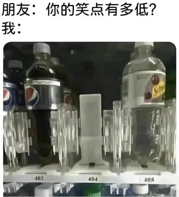 朋友:你的笑点有多低?我:403404405