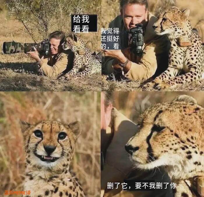 给我看看我觉得还挺好的，看删了它，要不我删了你E译