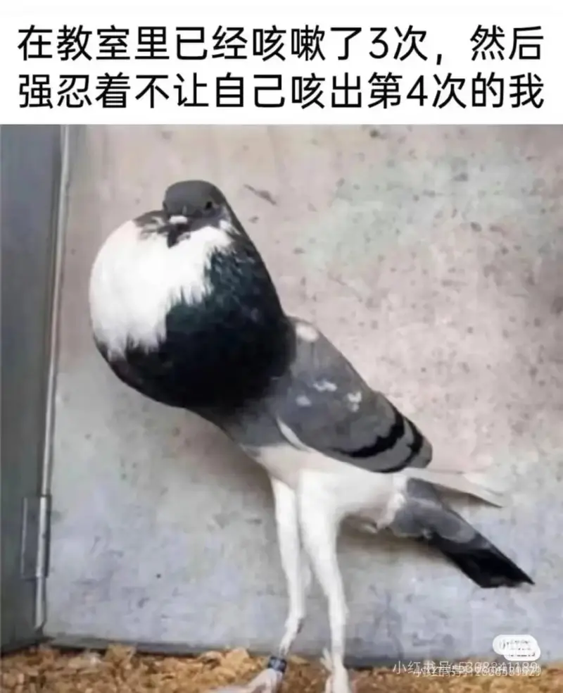 在教室里已经咳嗽了3次，然后强忍着不让自己咳出第4次的我小红