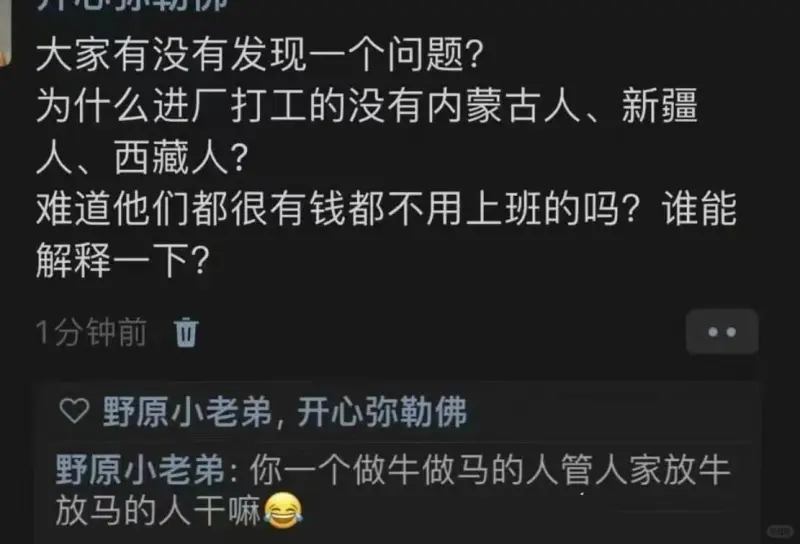 大家有没有发现一个问题？为什么进厂打工的没有内蒙古人、新疆人