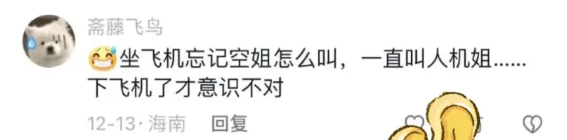 斋藤飞鸟坐飞机忘记空姐怎么叫，一直叫人机姐下飞机了才意识不对
