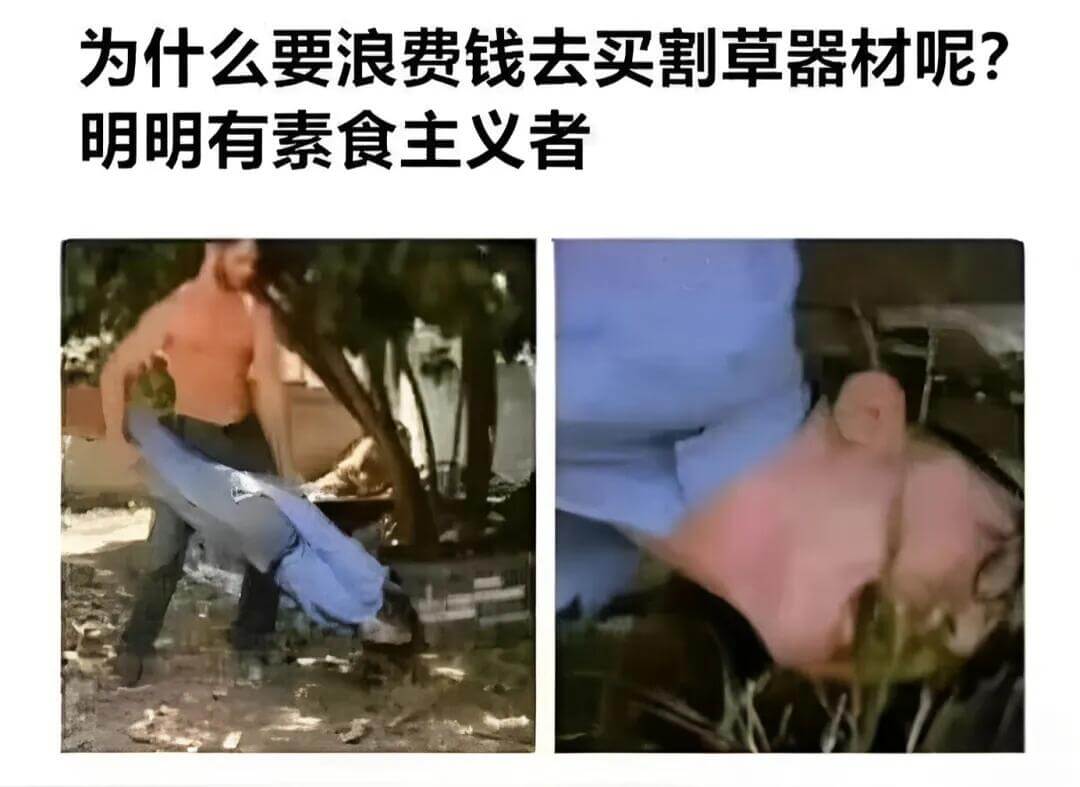 为什么要浪费钱去买割草器材呢？明明有素食主义者