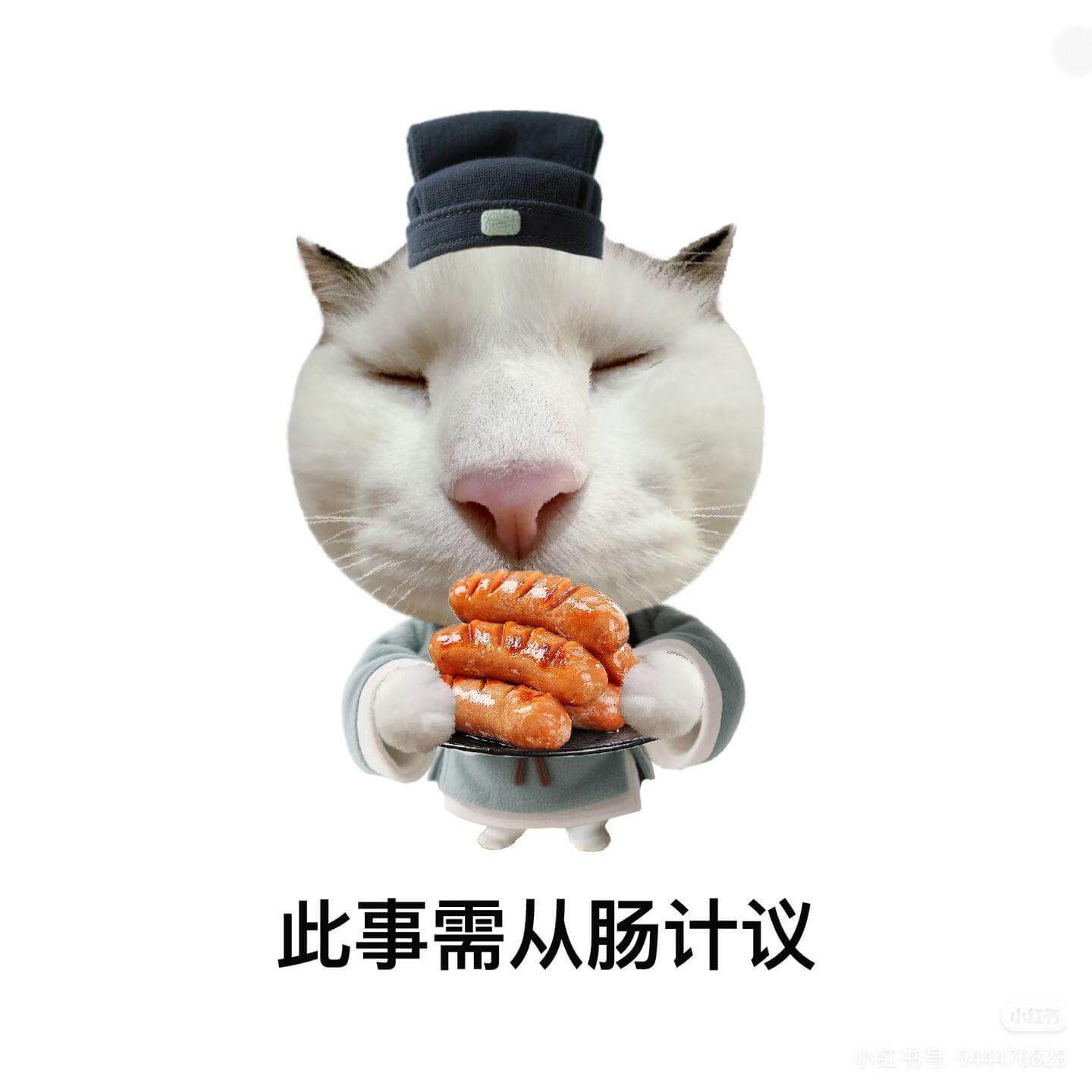 此事需从长计议红书号944476828