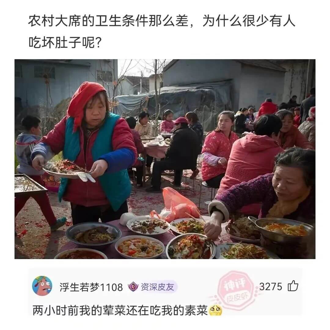 农村大席的卫生条件那么差，为什么很少有人吃坏肚子呢?若梦11