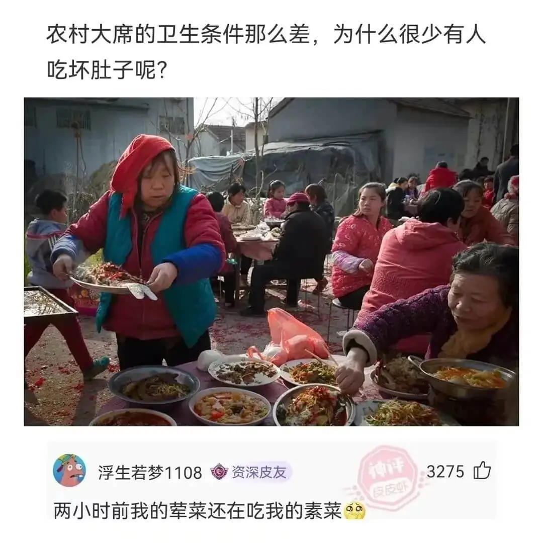 农村大席的卫生条件那么差，为什么很少有人吃坏肚子呢?若梦11
