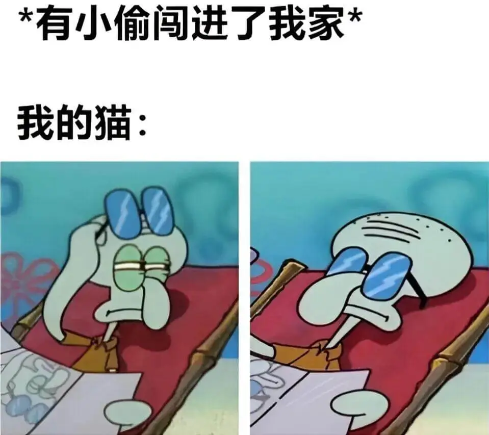 有小偷闯进了我家！我的猫：