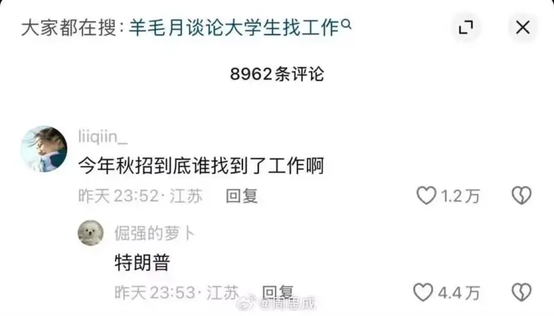 大家都在搜：羊毛月谈论大学生找工作8962条评论liiqii