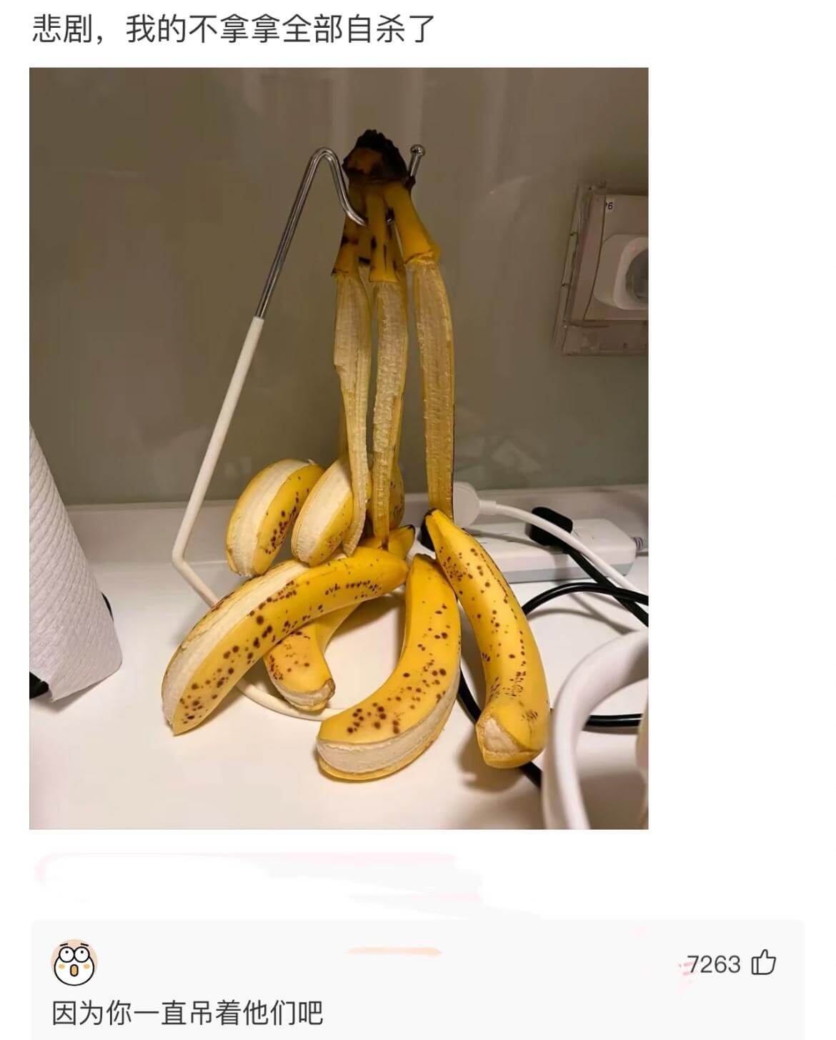 悲剧，我的不拿拿全部自杀了7263D因为你一直吊着他们吧