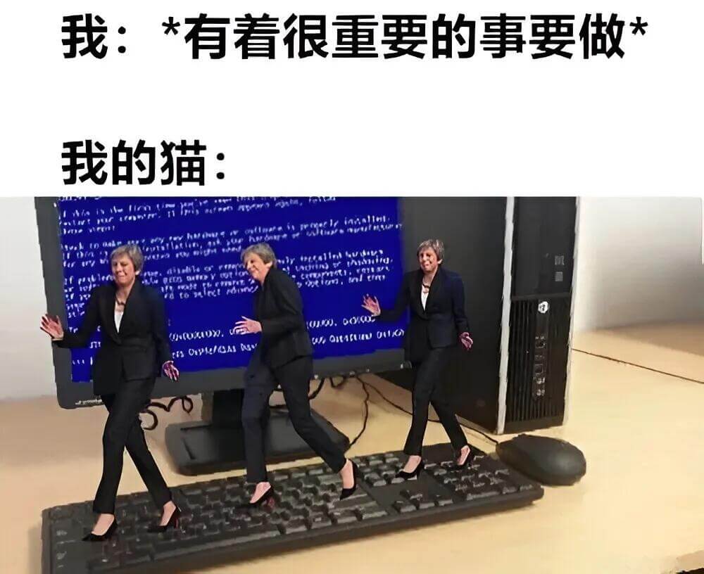 我：有看很重要的事要做。我的猫：ntwturtonr.lor
