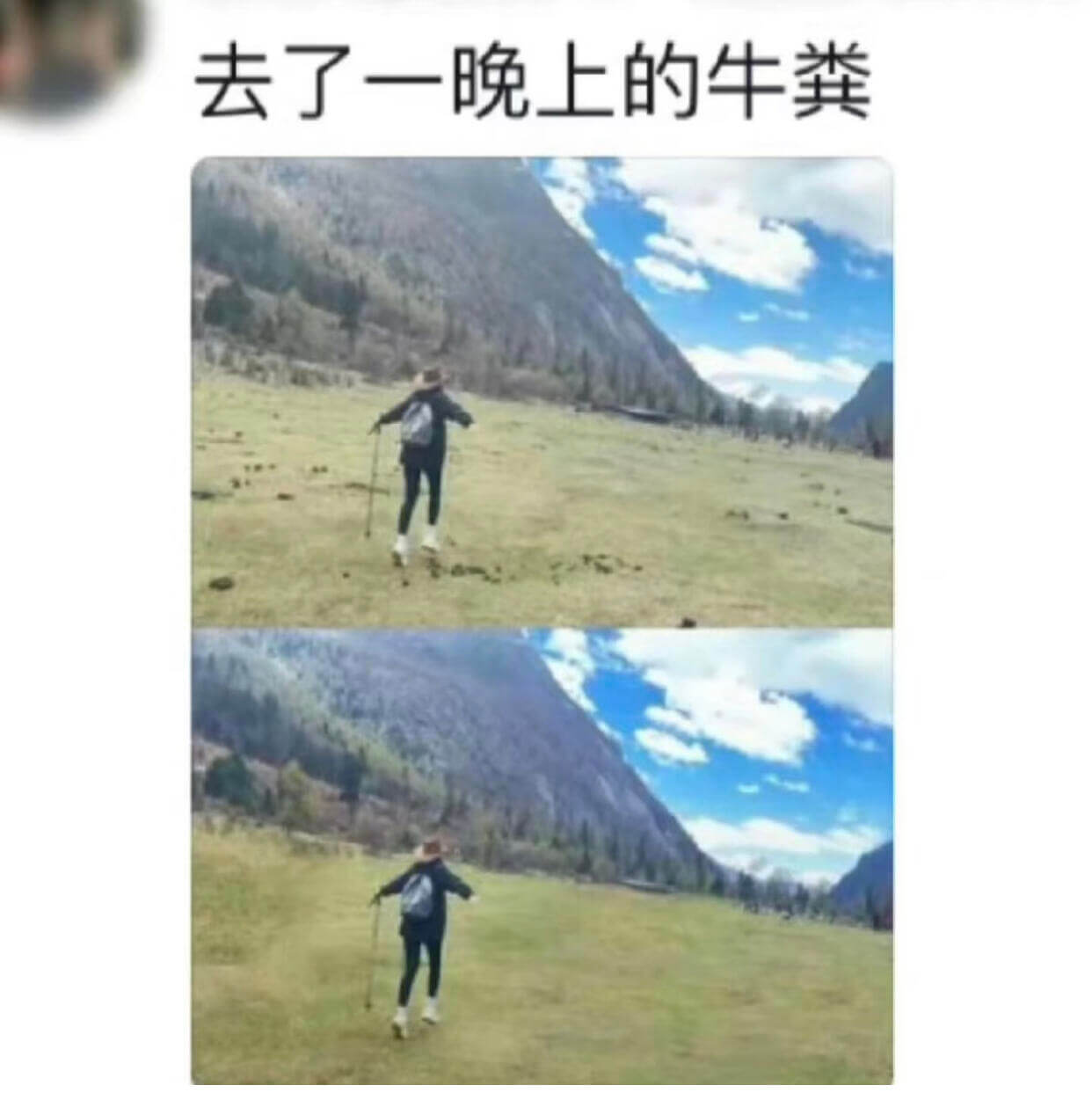 去了一晚上的牛粪