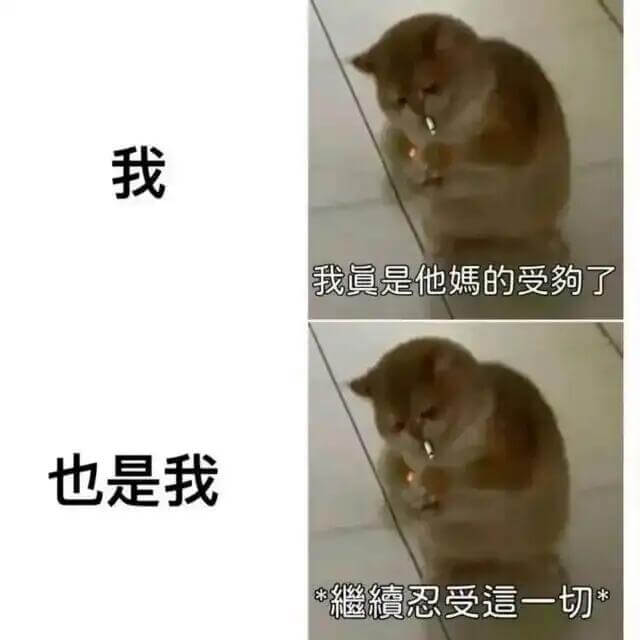 我我真是他妈的受了也是我忍受这一切*