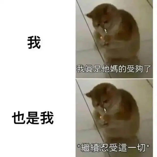 我我真是他妈的受了也是我忍受这一切*
