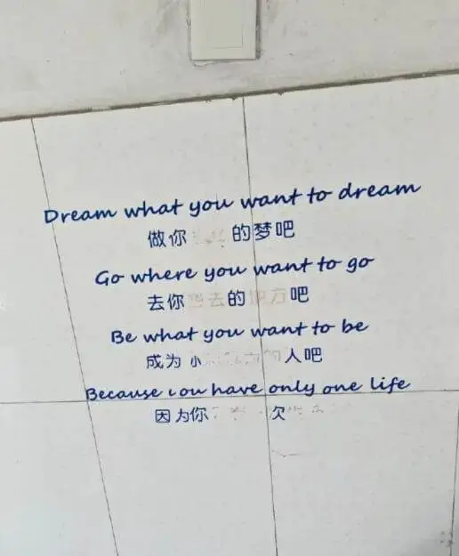 Dreamwhatyouwanttodream做你的梦吧Go