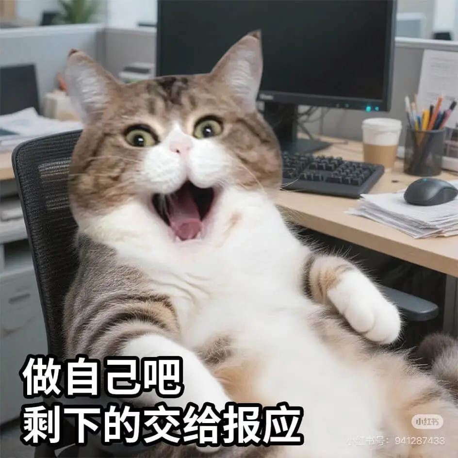 做自己吧，剩下的交给报应。小书小红书号：941287433