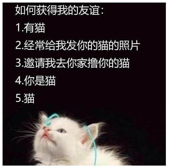 如何获得我的友谊1.有猫2.经常给我发你的猫的照片3.邀请我