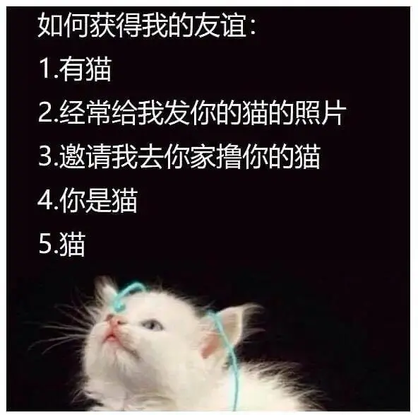 如何获得我的友谊1.有猫2.经常给我发你的猫的照片3.邀请我