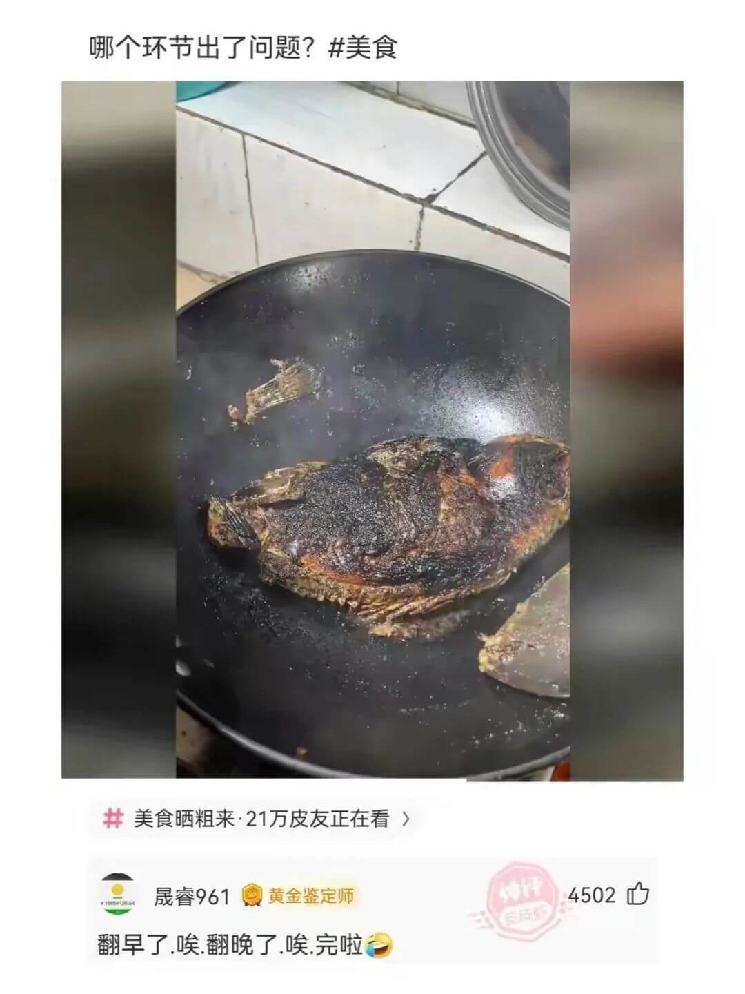 哪个环节出了问题?美食美食晒粗来·21万皮友正在看>晟睿96