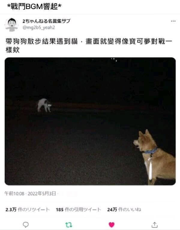 *用BGM警起*2也拍3名需集@mg2b5.yeah2带狗狗