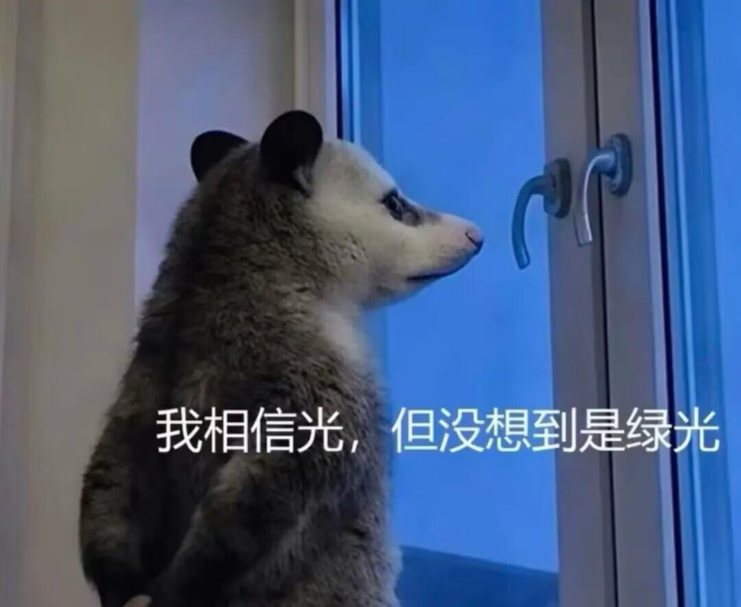 我相信光，但没想到是绿光。