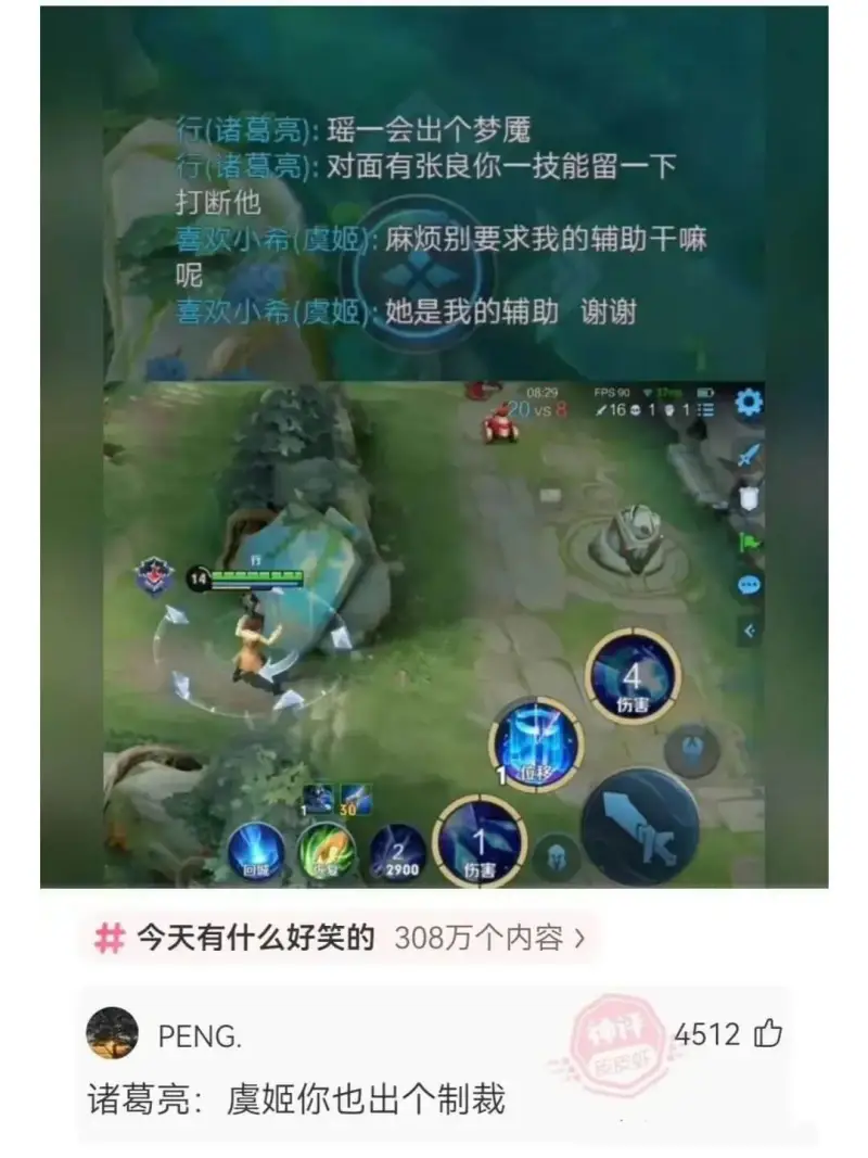行(诸葛亮):瑶一会出个梦魇行(诸葛亮):对面有张良你一技能