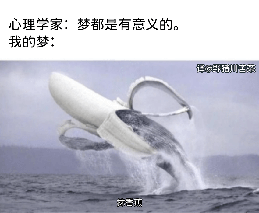 心理学家：梦都是有意义的。我的梦：译@野猪川苦茶抹香蕉