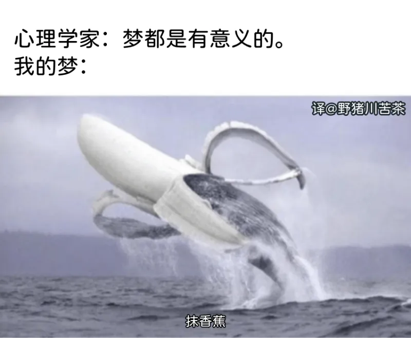 心理学家：梦都是有意义的。我的梦：译@野猪川苦茶抹香蕉