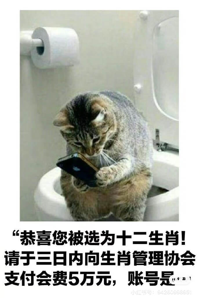 恭喜您被选为十二生肖！请于三日内向生肖管理协会支付会费5万元