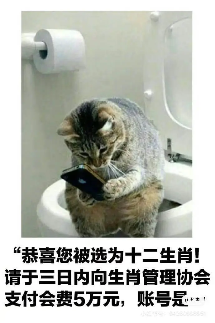 恭喜您被选为十二生肖！请于三日内向生肖管理协会支付会费5万元