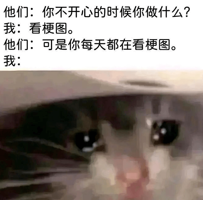 他们：你不开心的时候你做什么？我：看梗图。他们：可是你每天都