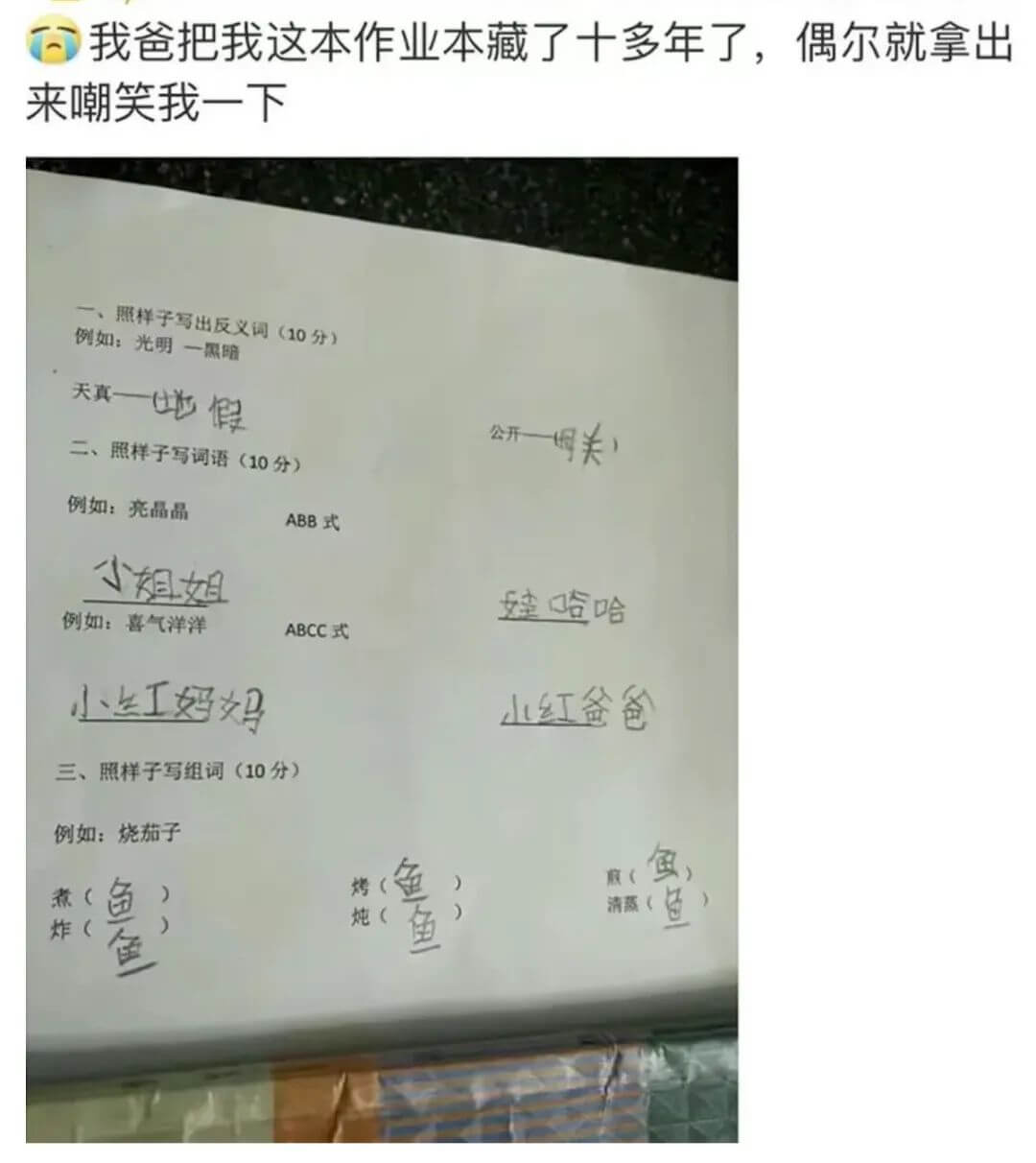 我爸把我这本作业本藏了十多年了，偶尔就拿出来嘲笑我一下一、照