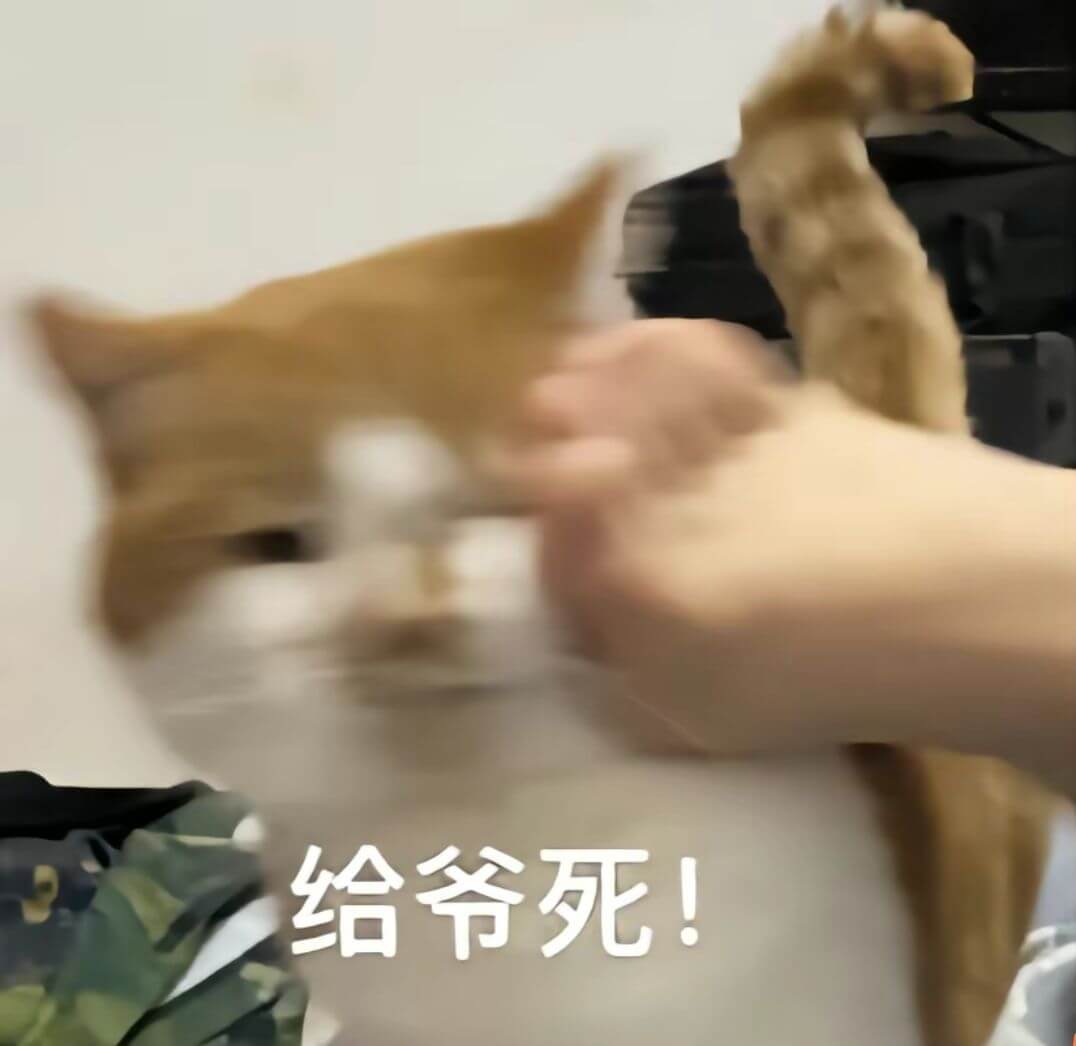 给爷死！