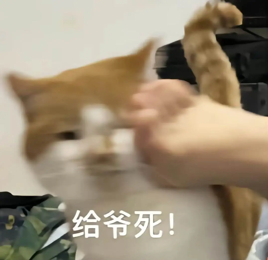 给爷死！