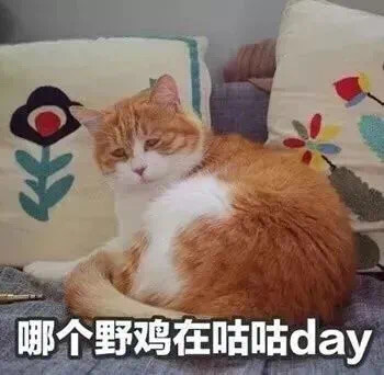 哪个野鸡在咕咕day