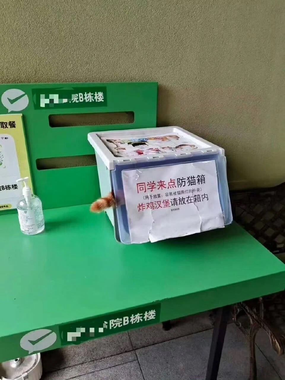 皖院B栋楼取餐B栋楼同学来点防猫箱（用于放置：容易被猫咬烂的